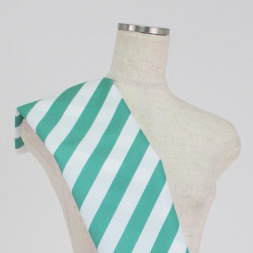 C0205　パステル緑×白　斜めストライプ柄生地