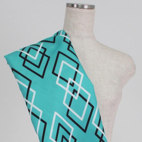 C0137　水色ベース　ネイティブ柄生地