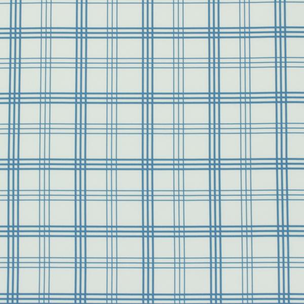 C0556　白ベース青色チェック柄生地