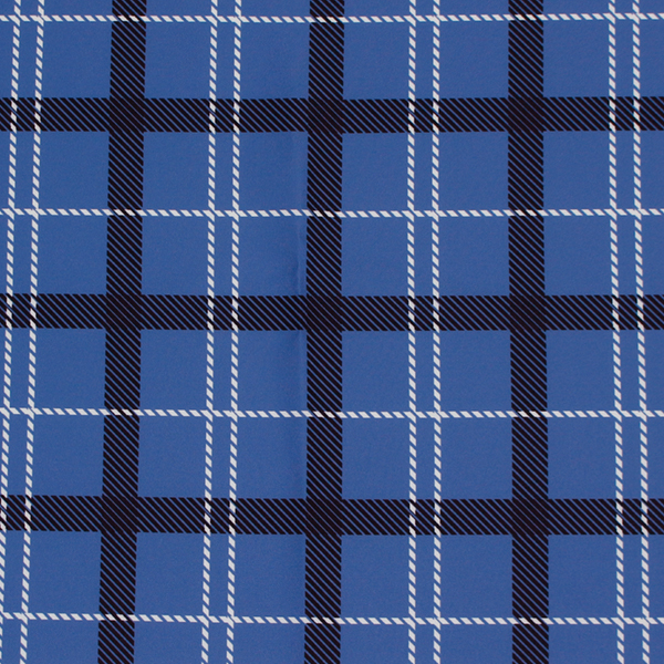 C0562　青ベース黒×白チェック柄生地
