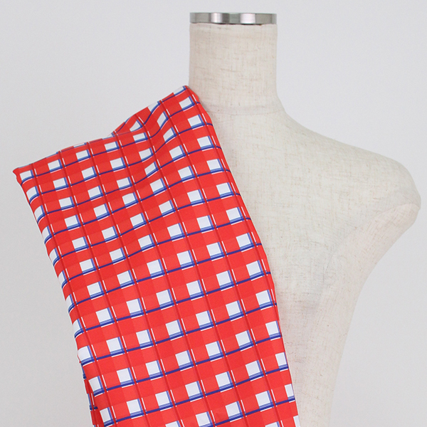 C0213　赤×青　チェック柄生地