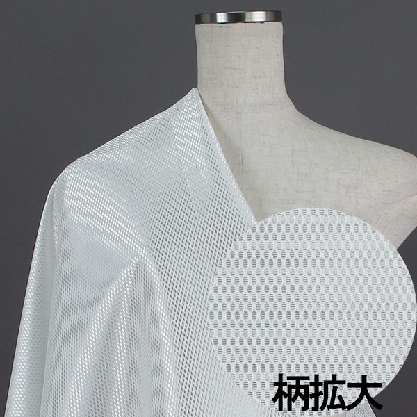 TZ035　ジャガード生地　シルリード